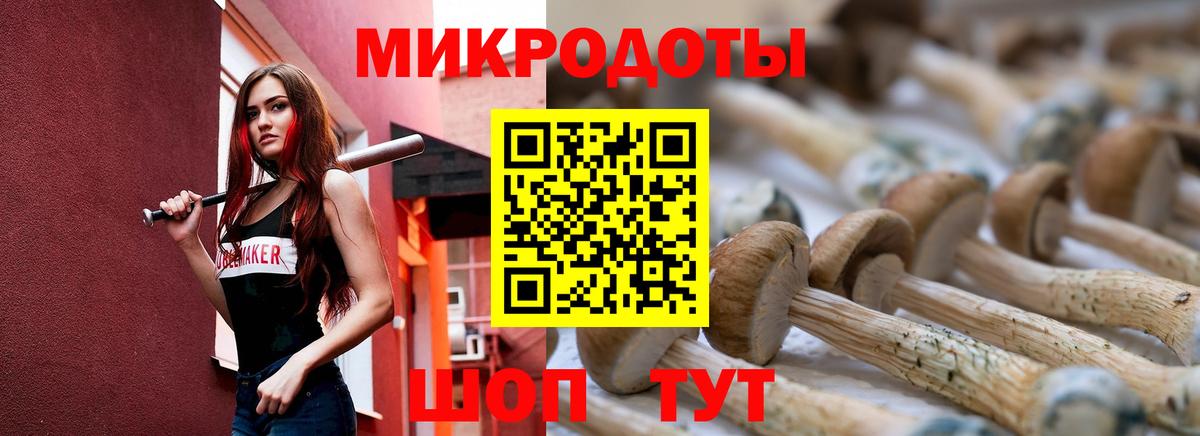 Галлюциногенные грибы прущие грибы  Галлюциногенные грибы Psilocybe  Вход с VPN  Аша 